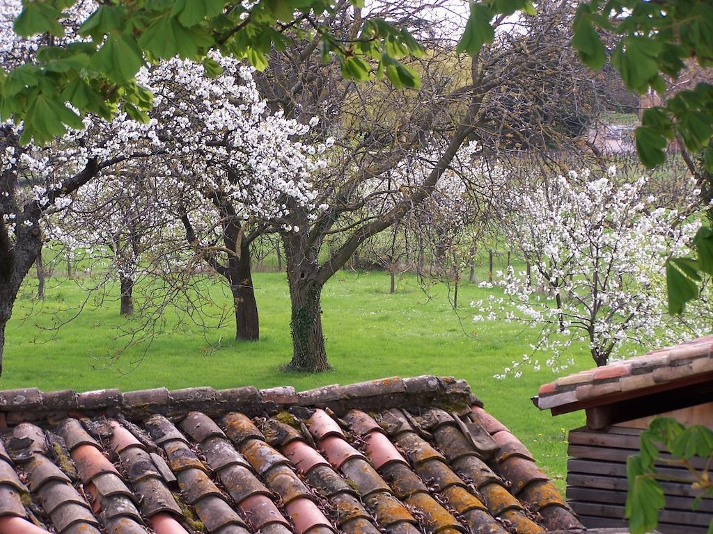 Clos De Pomeir Guest House Pommiers  Exterior photo